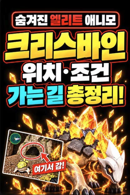 애니모 · 숨겨진 엘리트 탐험